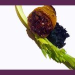Dr Della Parker_Stuffed Mini Bell Peppers with Celery Sticks Recipe